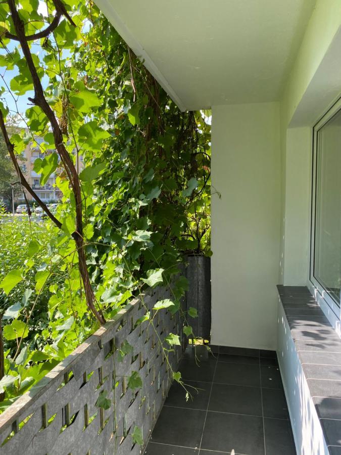 Apartament Blisko Wszedzie Ostrowiec Świętokrzyski 外观 照片